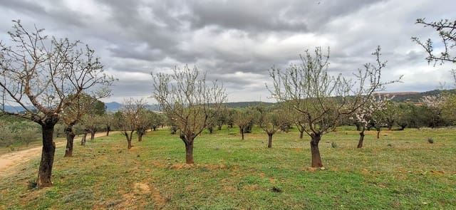 Finka/Dom wiejski na sprzedaż w Tivissa - 215 000 € (Ref: 8848448)