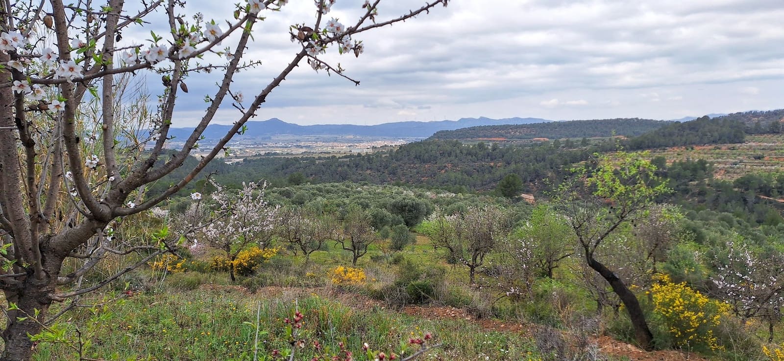 Finka/Dom wiejski na sprzedaż w Tivissa - 215 000 € (Ref: 8848448)