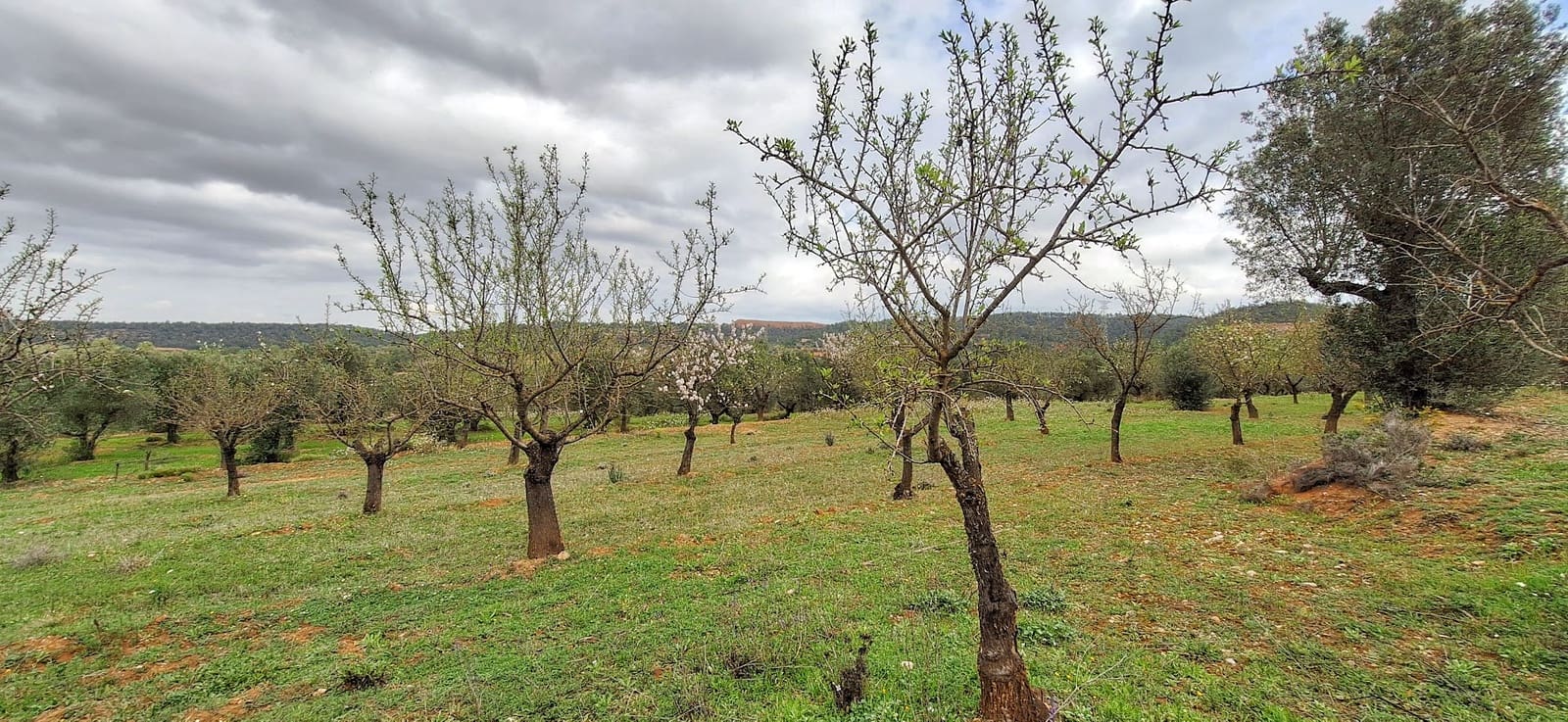 Finka/Dom wiejski na sprzedaż w Tivissa - 215 000 € (Ref: 8848448)