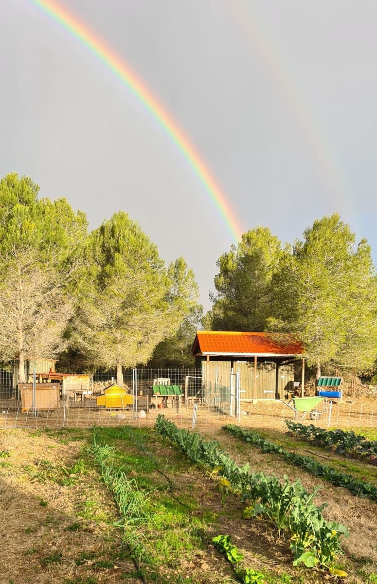 2 slaapkamer Finca/Landhuis te koop in Ginestar - € 198.000 (Ref: 8891886)