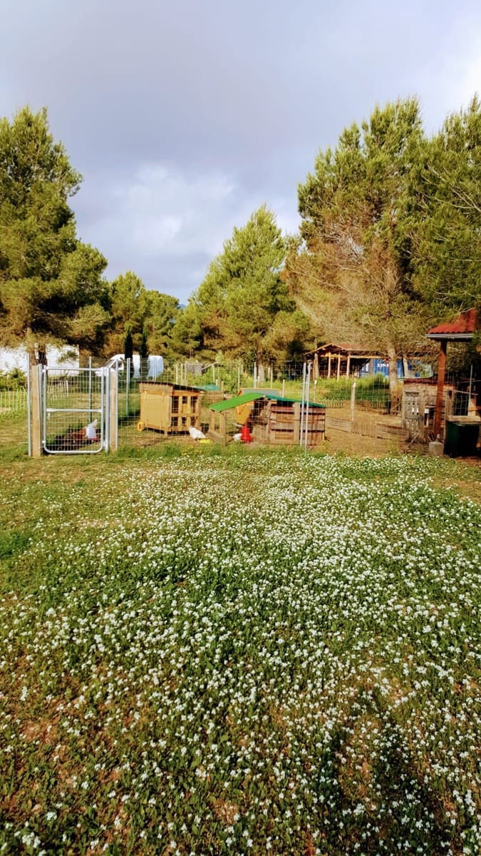 2 slaapkamer Finca/Landhuis te koop in Ginestar - € 198.000 (Ref: 8891886)