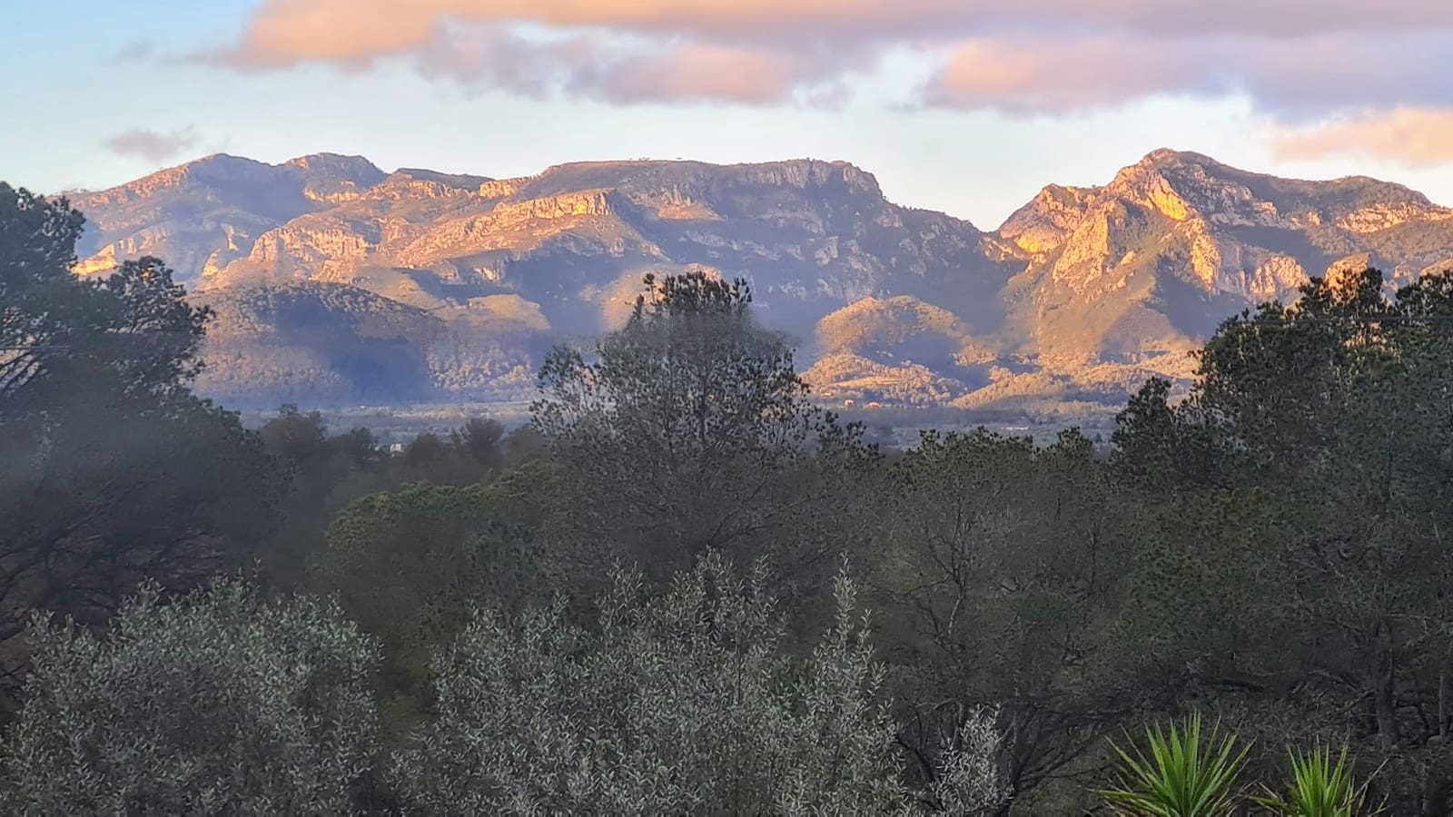 2 slaapkamer Finca/Landhuis te koop in Ginestar - € 198.000 (Ref: 8891886)