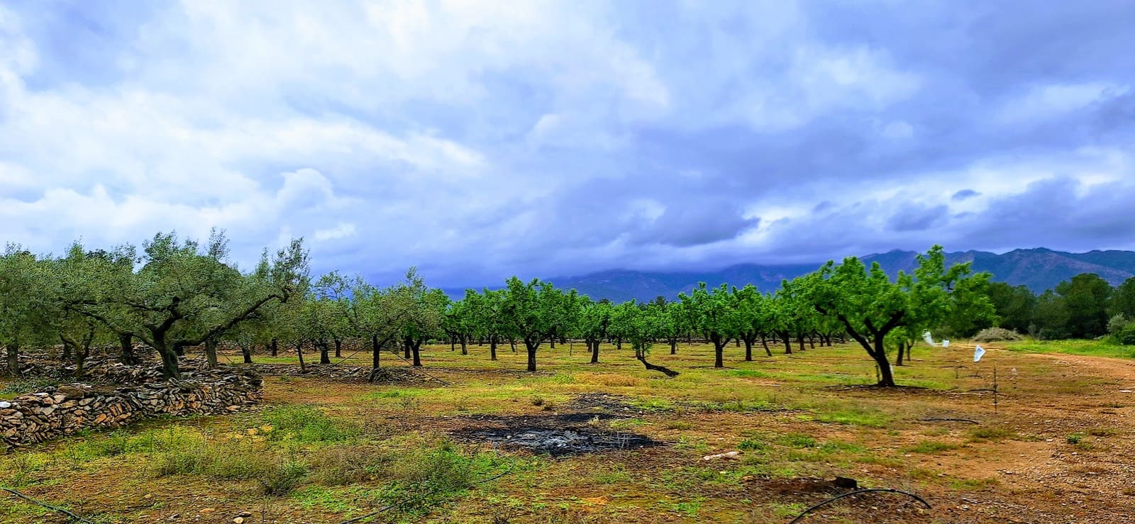 Finca/Landehus til salg i Ginestar - € 110.000 (Ref: 8911984)