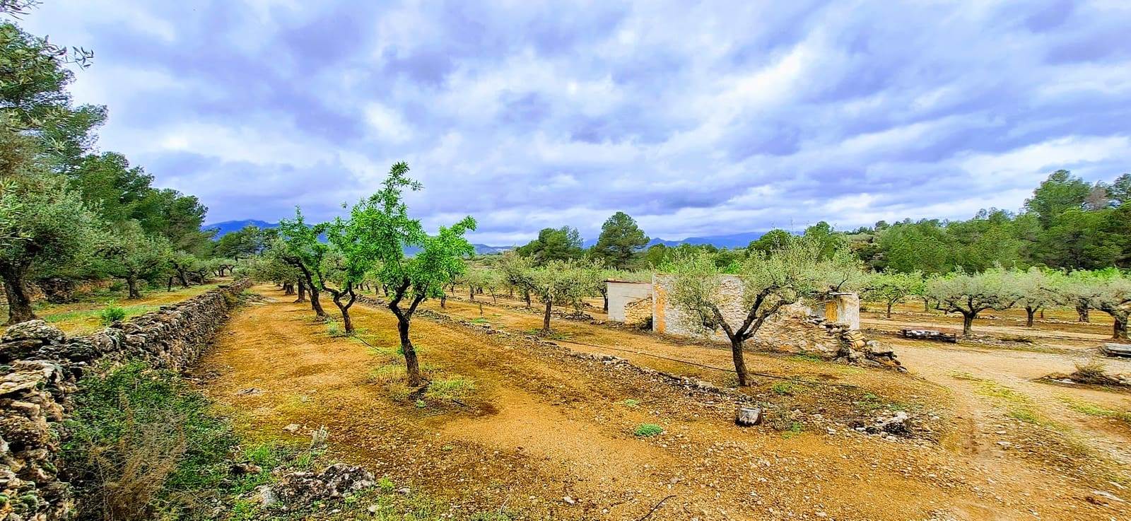 Finca/Landehus til salg i Ginestar - € 110.000 (Ref: 8911984)