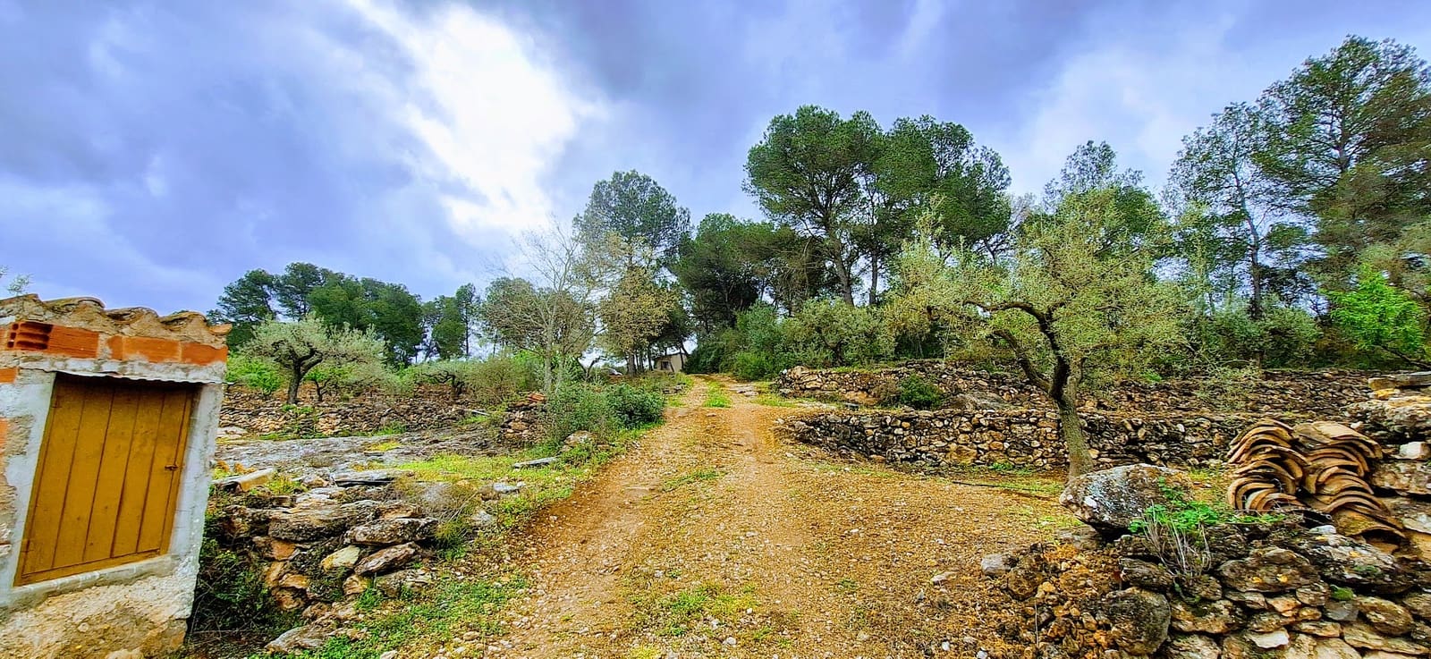 Finca/Landehus til salg i Ginestar - € 110.000 (Ref: 8911984)