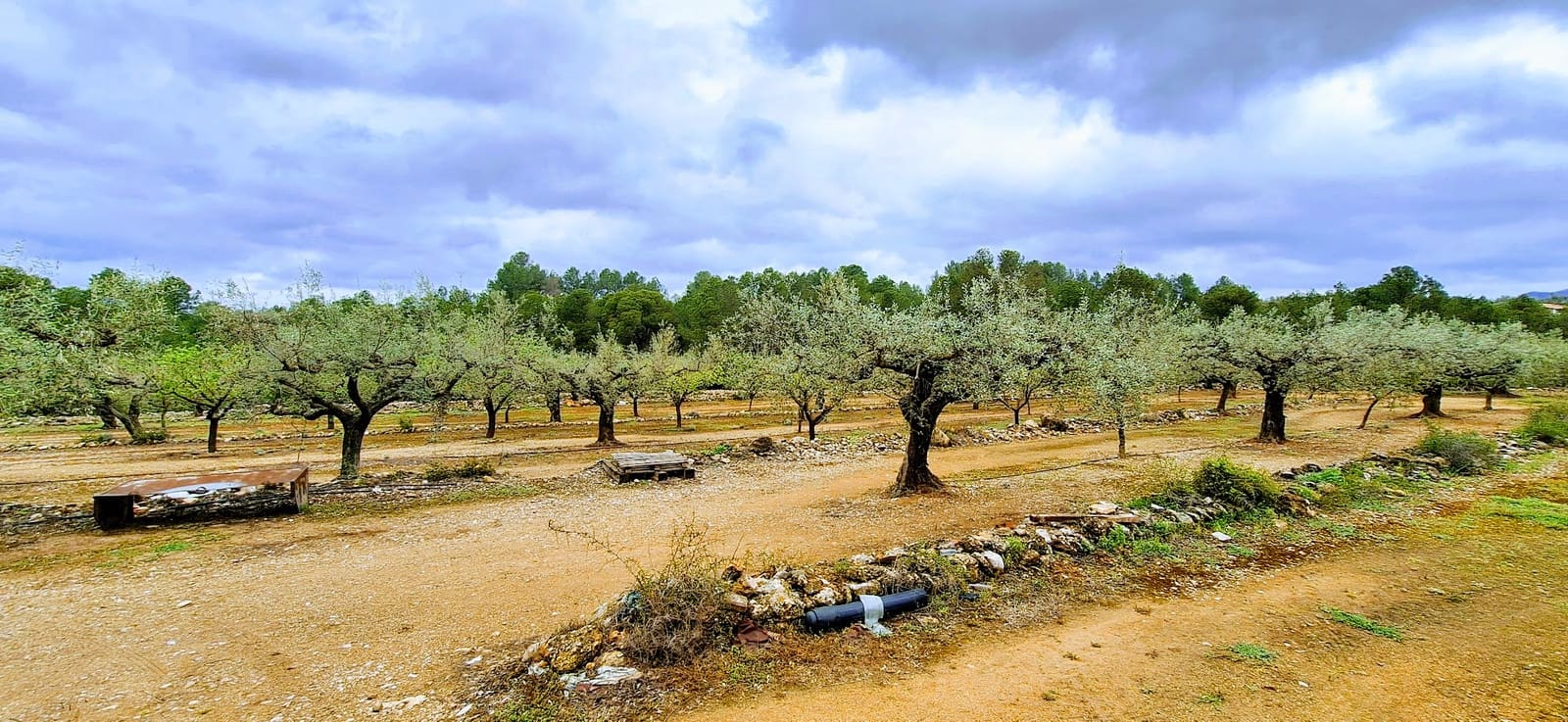 Finca/Landehus til salg i Ginestar - € 110.000 (Ref: 8911984)