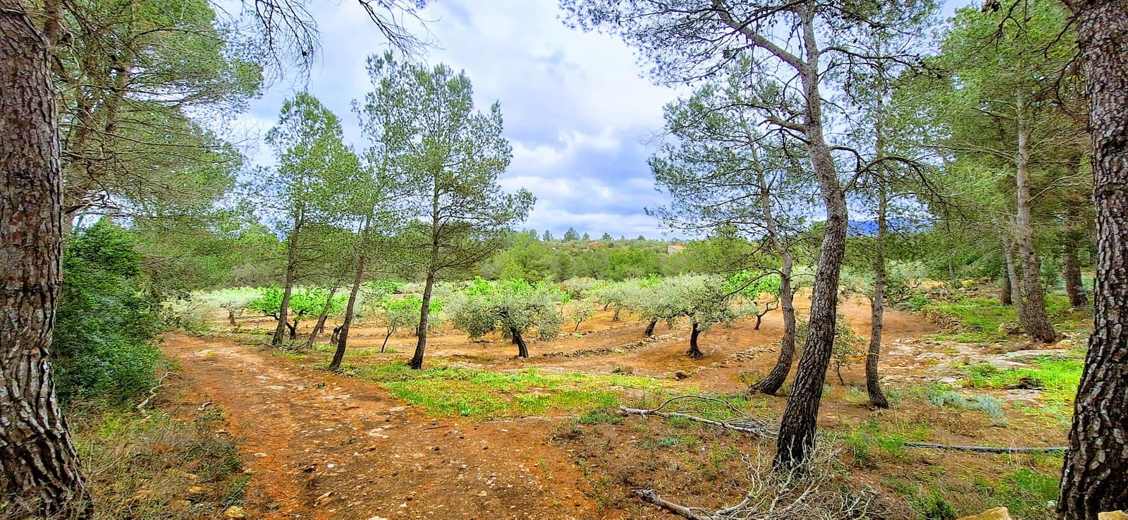 Finca/Landehus til salg i Ginestar - € 110.000 (Ref: 8911984)