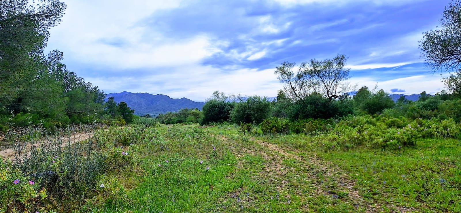 Finca/Herregård til salgs i Ginestar - € 36 000 (Ref: 8940959)