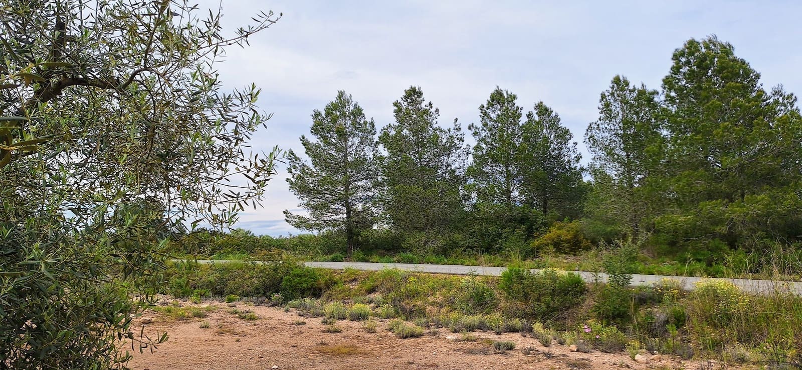 Finca/Herregård til salgs i Ginestar - € 36 000 (Ref: 8940959)