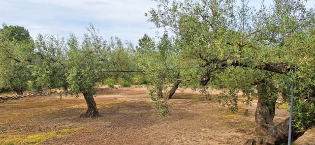 Finca/Herregård til salgs i Ginestar - € 36 000 (Ref: 8940959)