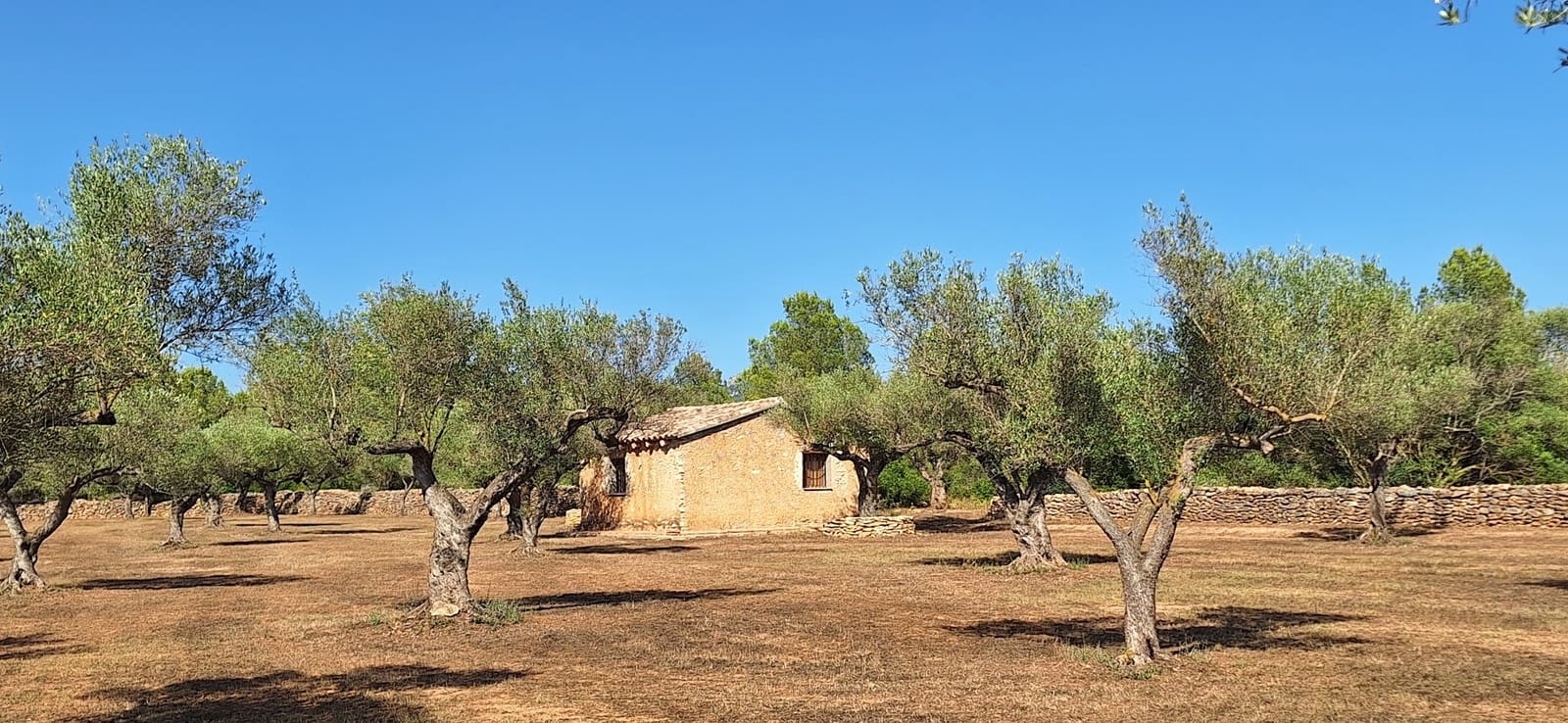 Finca/Country House for sale in Ginestar - € 65,000 (Ref: 9127766)