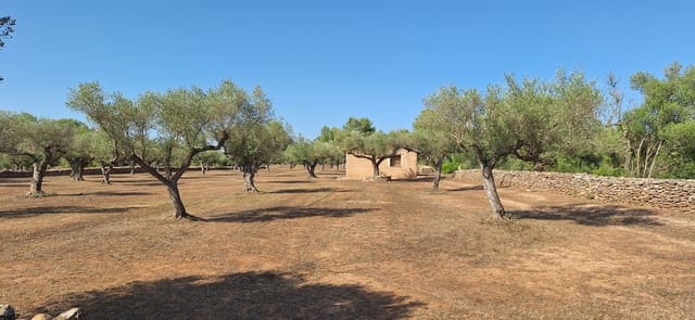 Finca/Landehus til salg i Ginestar - € 65.000 (Ref: 9127766)