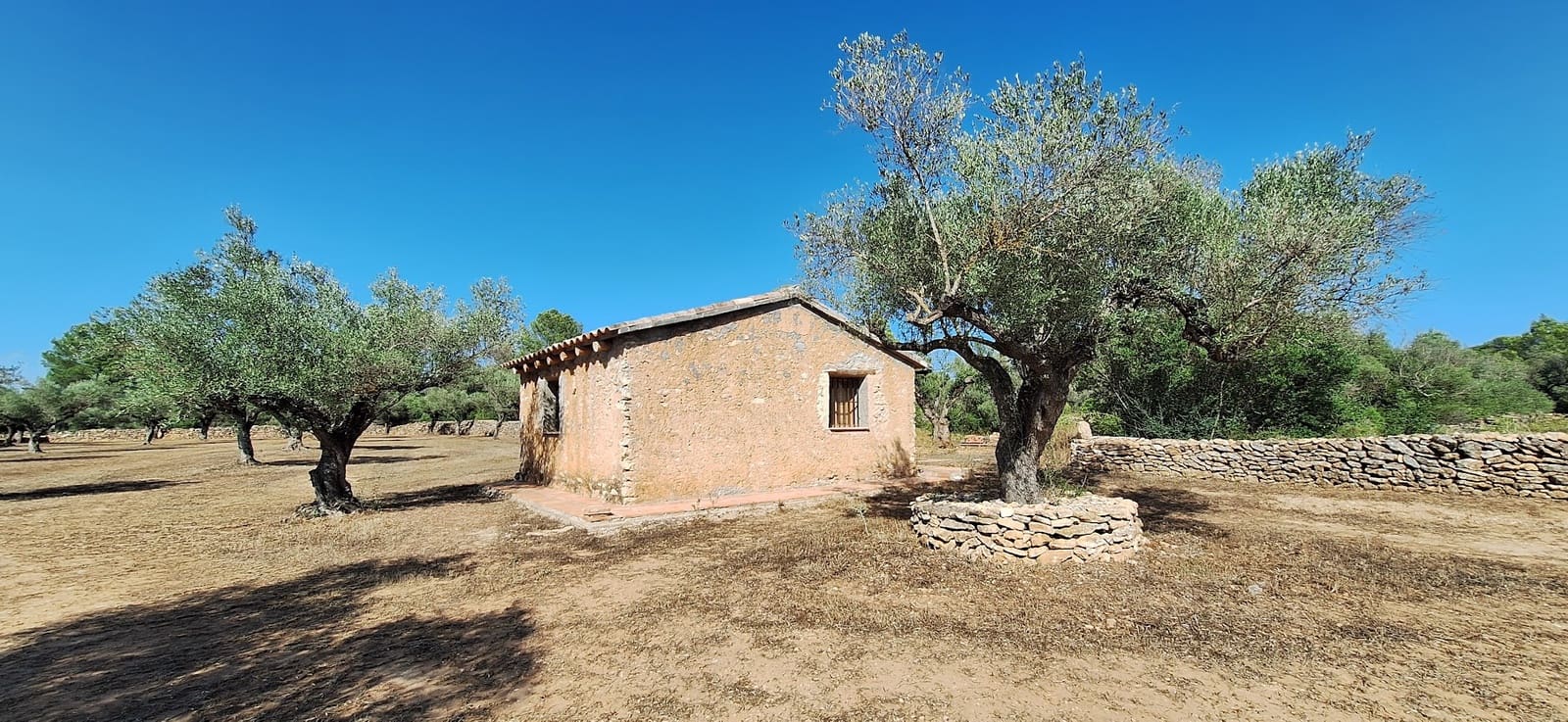 Finca/Country House for sale in Ginestar - € 65,000 (Ref: 9127766)