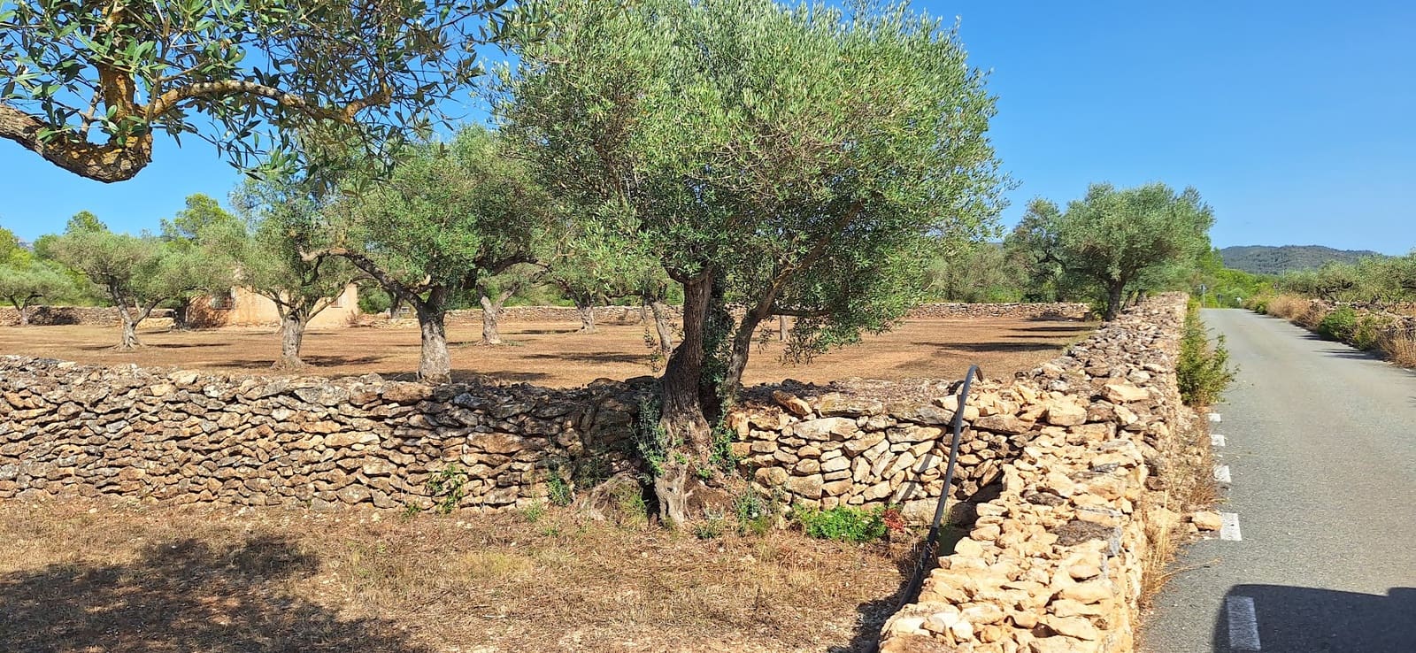 Finca/Country House for sale in Ginestar - € 65,000 (Ref: 9127766)