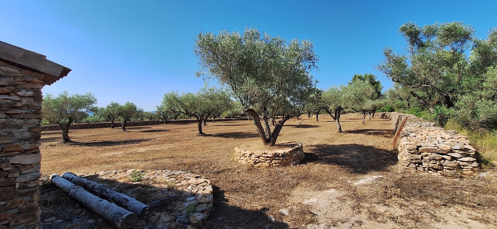 Finca/Country House for sale in Ginestar - € 65,000 (Ref: 9127766)