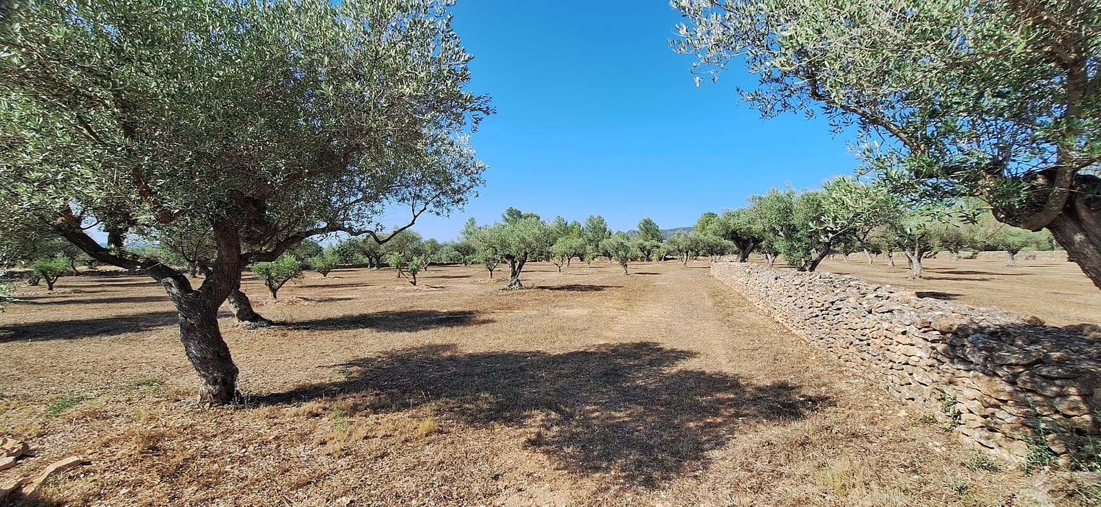 Finca/Country House for sale in Ginestar - € 65,000 (Ref: 9127766)