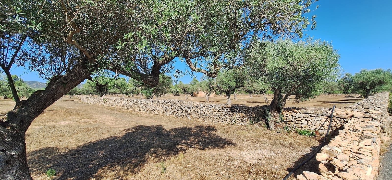 Finca/Country House for sale in Ginestar - € 65,000 (Ref: 9127766)
