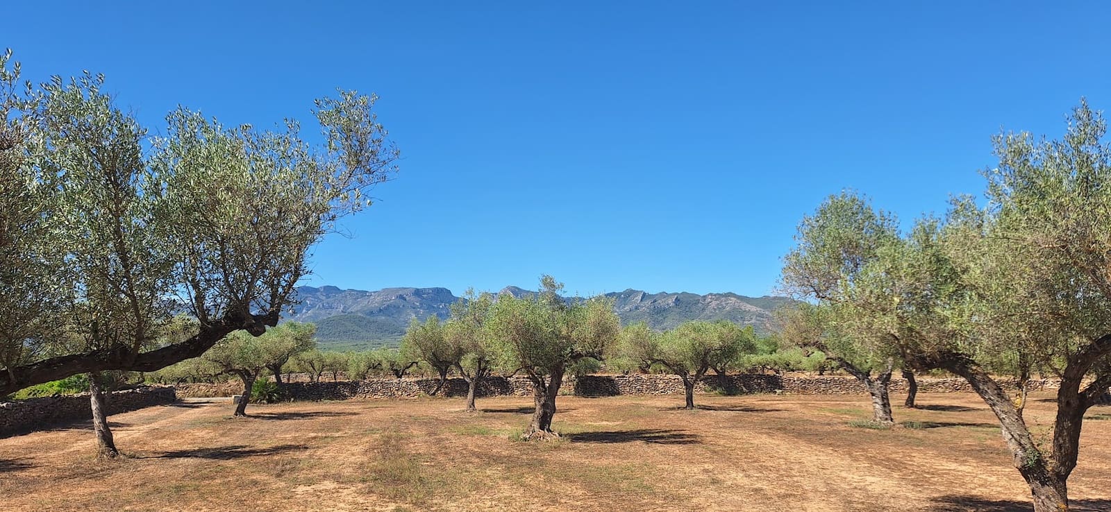 Finca/Country House for sale in Ginestar - € 65,000 (Ref: 9127766)