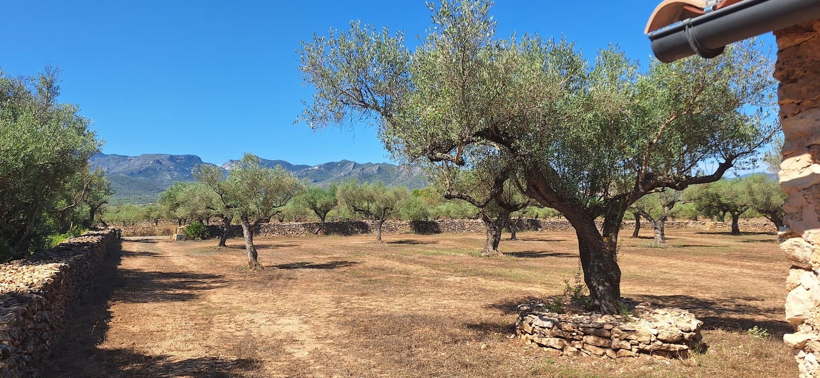 Finca/Country House for sale in Ginestar - € 65,000 (Ref: 9127766)