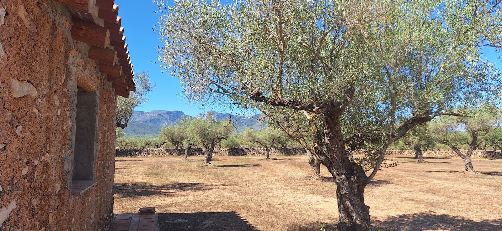 Finca/Country House for sale in Ginestar - € 65,000 (Ref: 9127766)