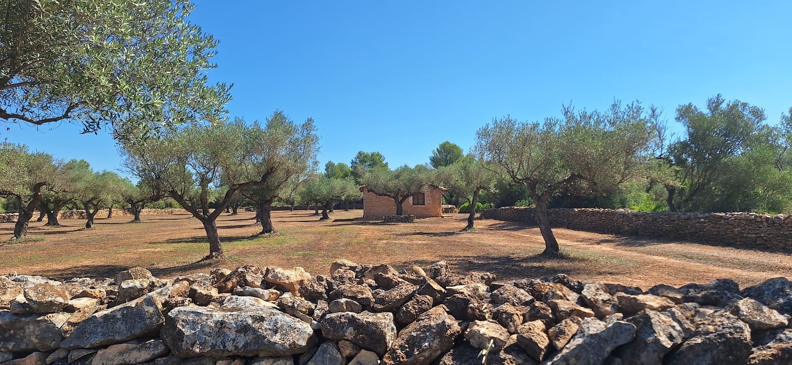 Finca/Country House for sale in Ginestar - € 65,000 (Ref: 9127766)