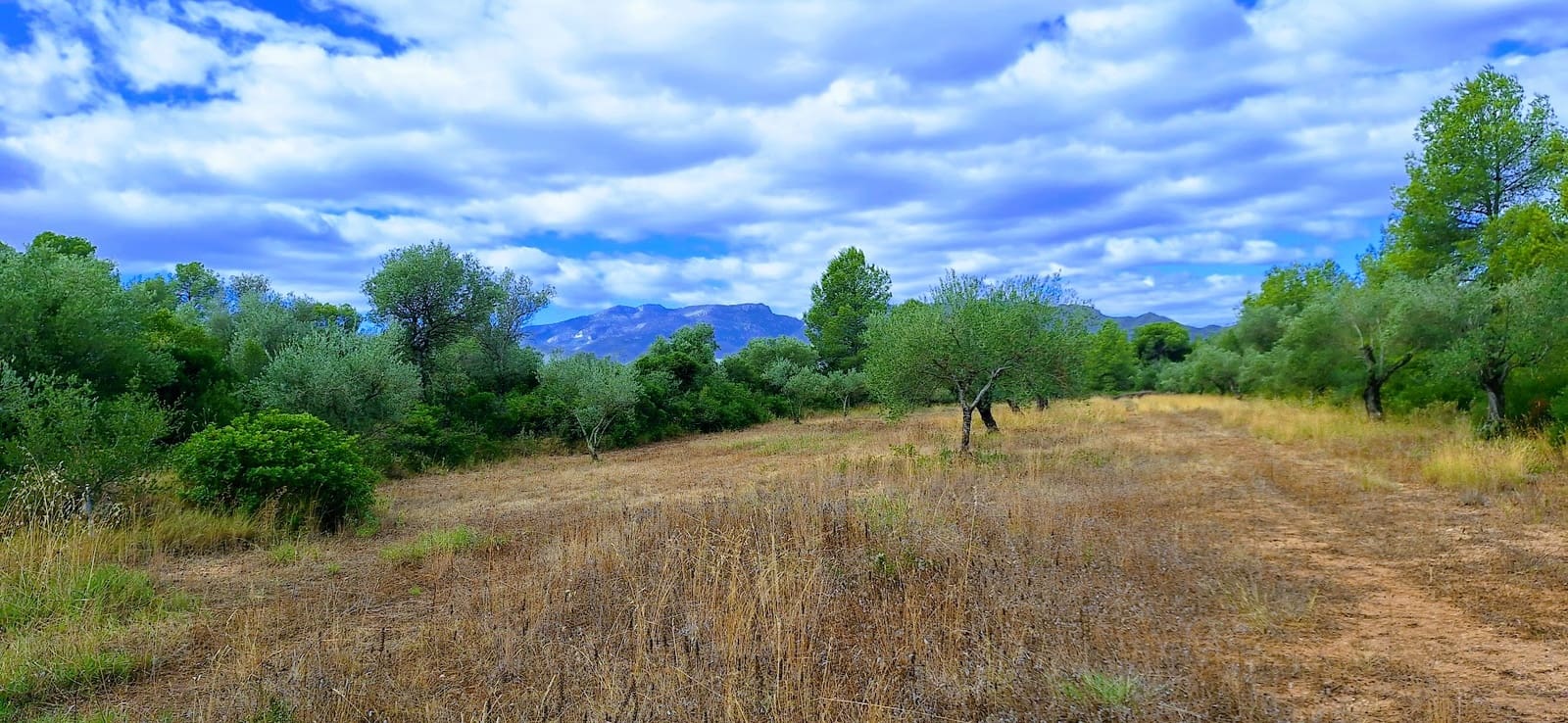 2 soverom Finca/Herregård til salgs i Ginestar - € 120 000 (Ref: 9144201)