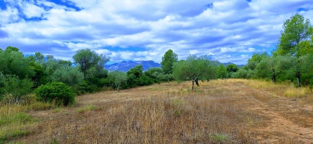 2 bedroom Finca/Country House for sale in Ginestar - € 120,000 (Ref: 9144201)