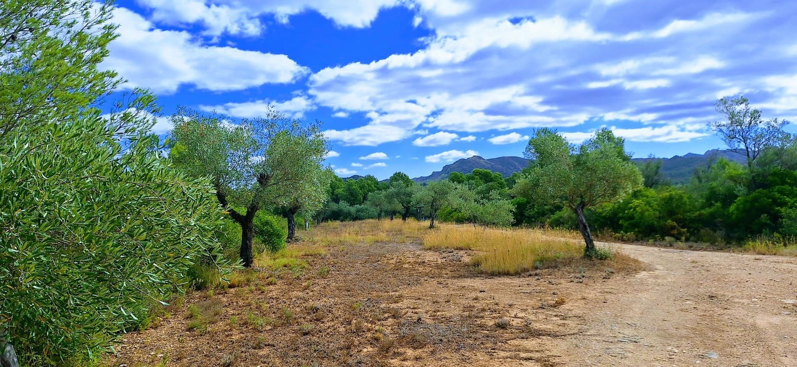 2 soverom Finca/Herregård til salgs i Ginestar - € 120 000 (Ref: 9144201)