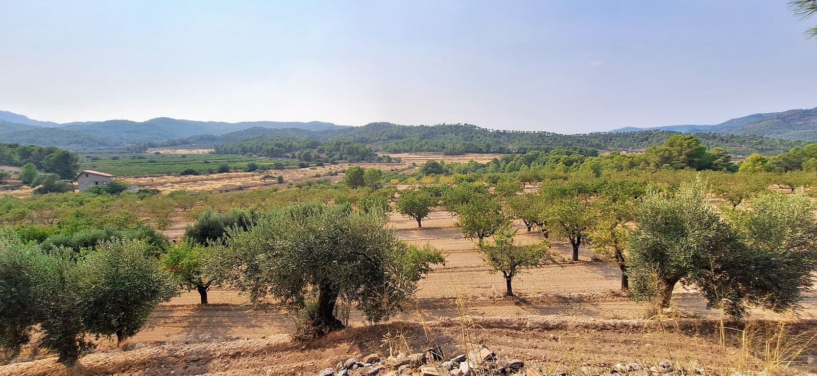 Finca/Landehus til salg i Benissanet - € 79.000 (Ref: 9190244)