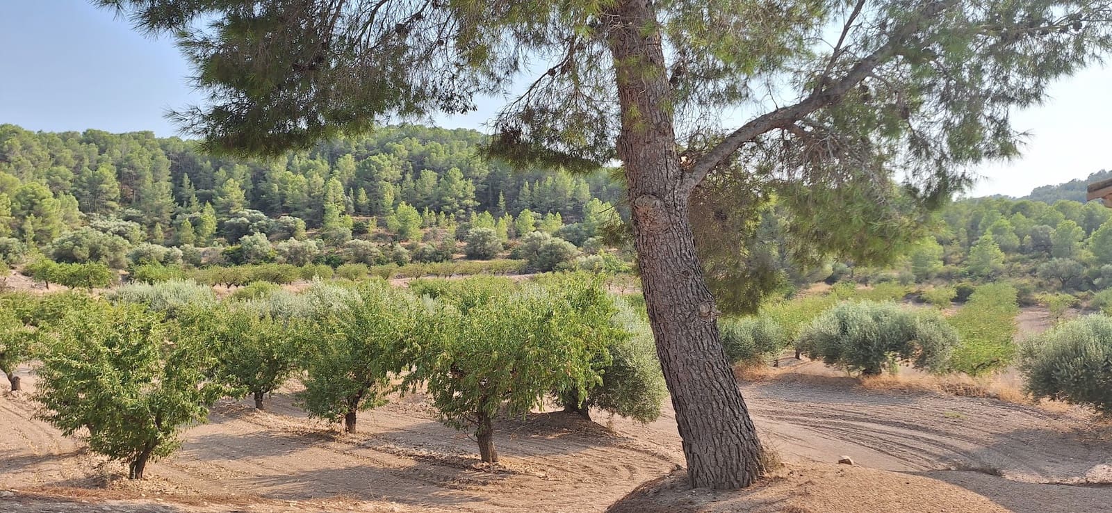 Finca/Landehus til salg i Benissanet - € 79.000 (Ref: 9190244)