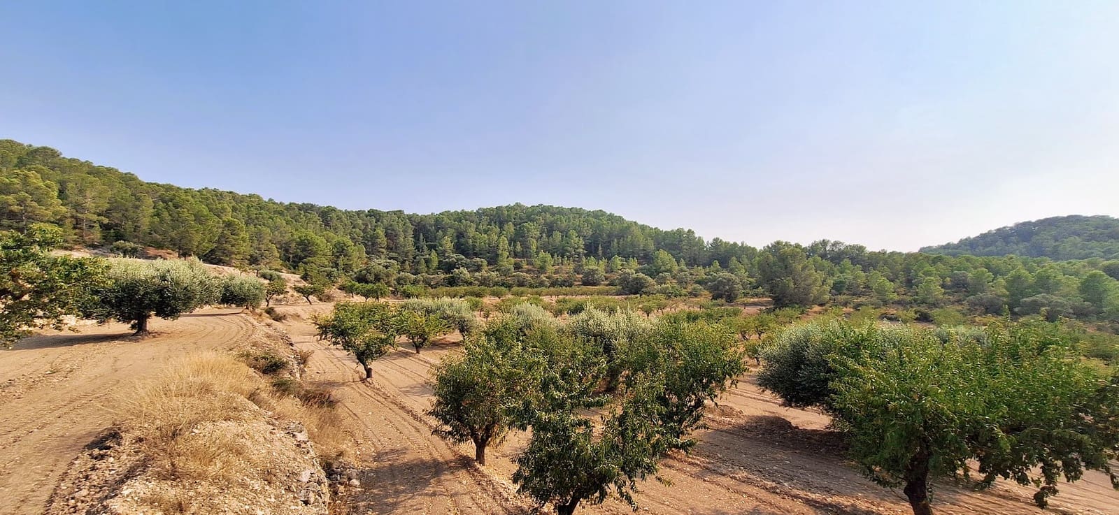 Finca/Landehus til salg i Benissanet - € 79.000 (Ref: 9190244)