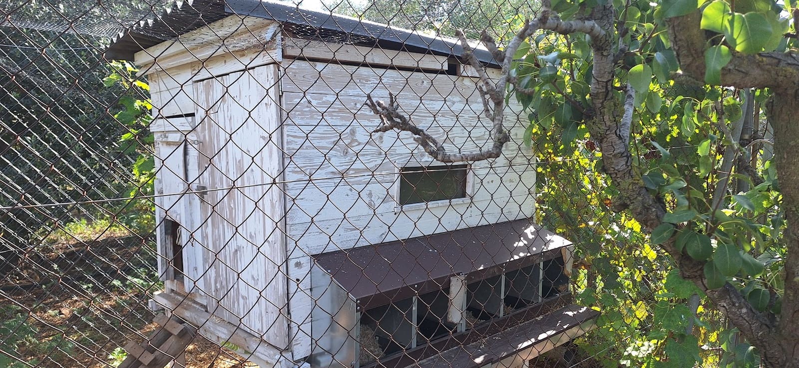 2 sypialnia Finka/Dom wiejski na sprzedaż w Riudoms - 220 000 € (Ref: 9249518)