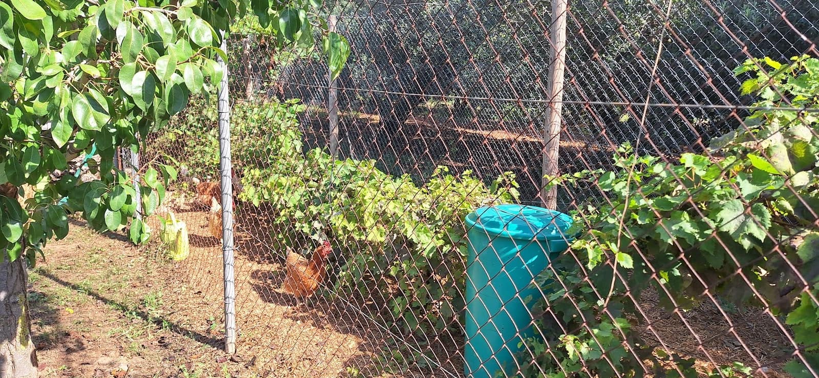 2 sypialnia Finka/Dom wiejski na sprzedaż w Riudoms - 220 000 € (Ref: 9249518)