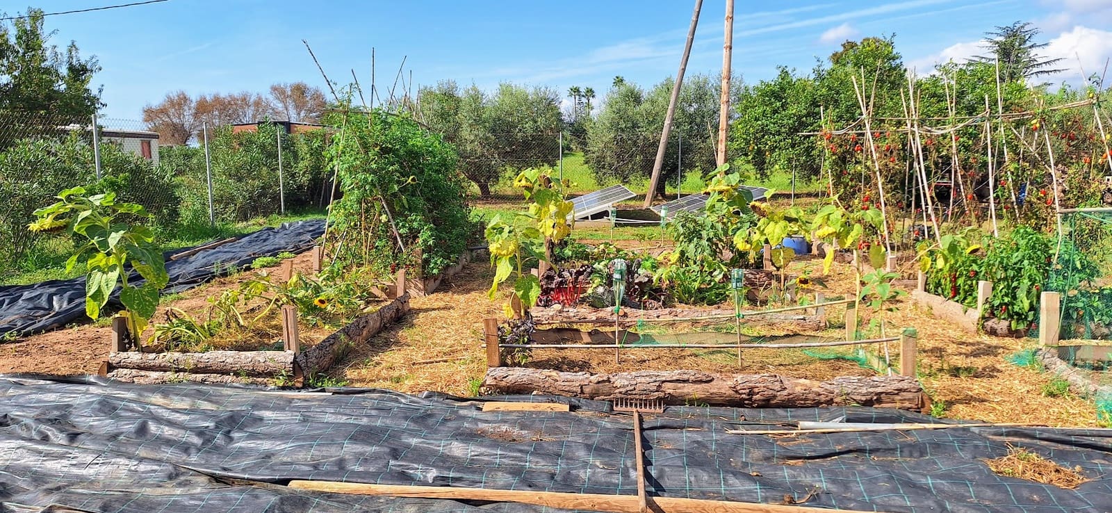 2 sypialnia Finka/Dom wiejski na sprzedaż w Riudoms - 220 000 € (Ref: 9249518)