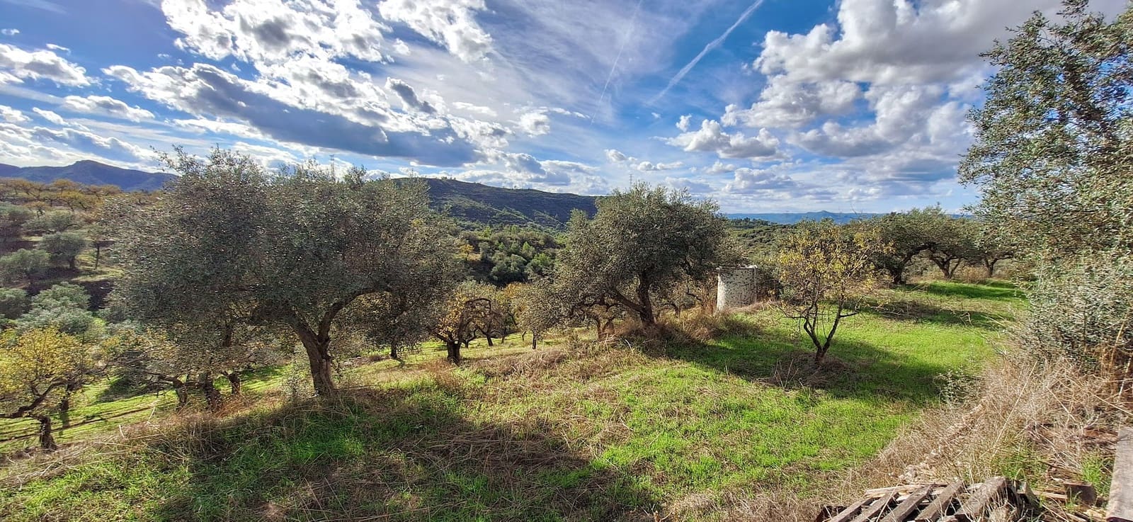 2 sypialnia Finka/Dom wiejski na sprzedaż w Tivissa - 112 000 € (Ref: 9331245)