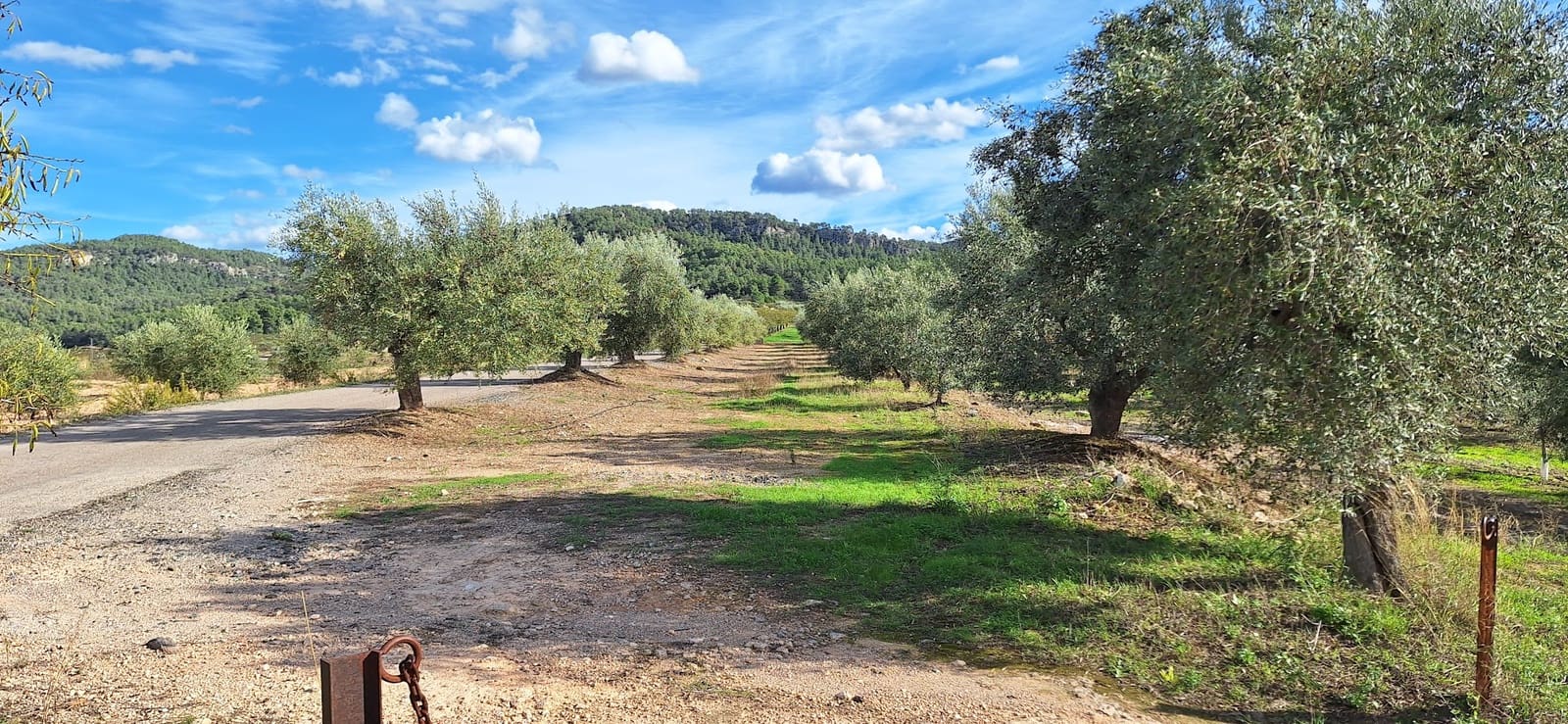 2 sypialnia Finka/Dom wiejski na sprzedaż w Tivissa - 112 000 € (Ref: 9331245)