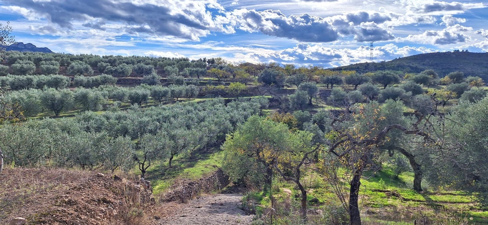 2 sypialnia Finka/Dom wiejski na sprzedaż w Tivissa - 112 000 € (Ref: 9331245)