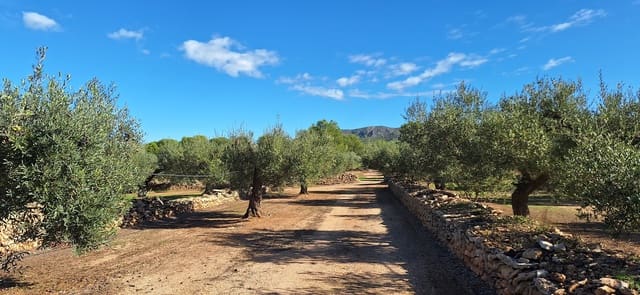 Finka/Dom wiejski na sprzedaż w Tivissa - 57 000 € (Ref: 9331441)