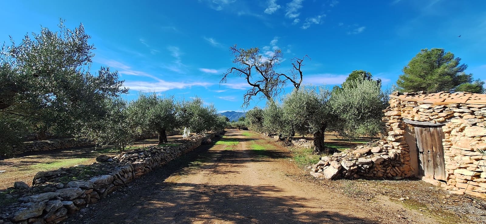 Finka/Dom wiejski na sprzedaż w Tivissa - 57 000 € (Ref: 9331441)