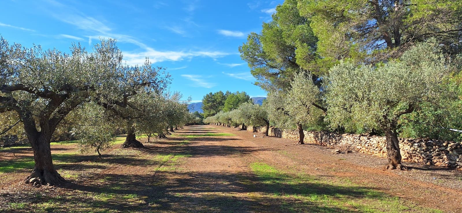 Finka/Dom wiejski na sprzedaż w Tivissa - 57 000 € (Ref: 9331441)