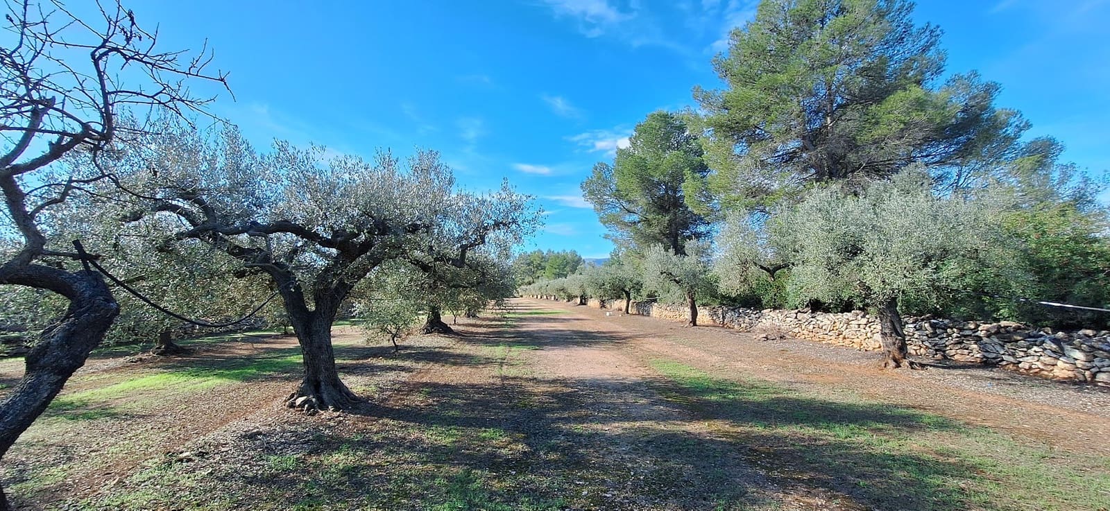 Finka/Dom wiejski na sprzedaż w Tivissa - 57 000 € (Ref: 9331441)