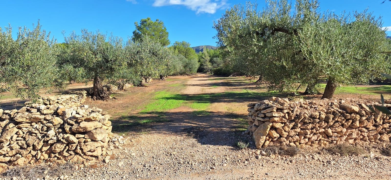 Finka/Dom wiejski na sprzedaż w Tivissa - 57 000 € (Ref: 9331441)