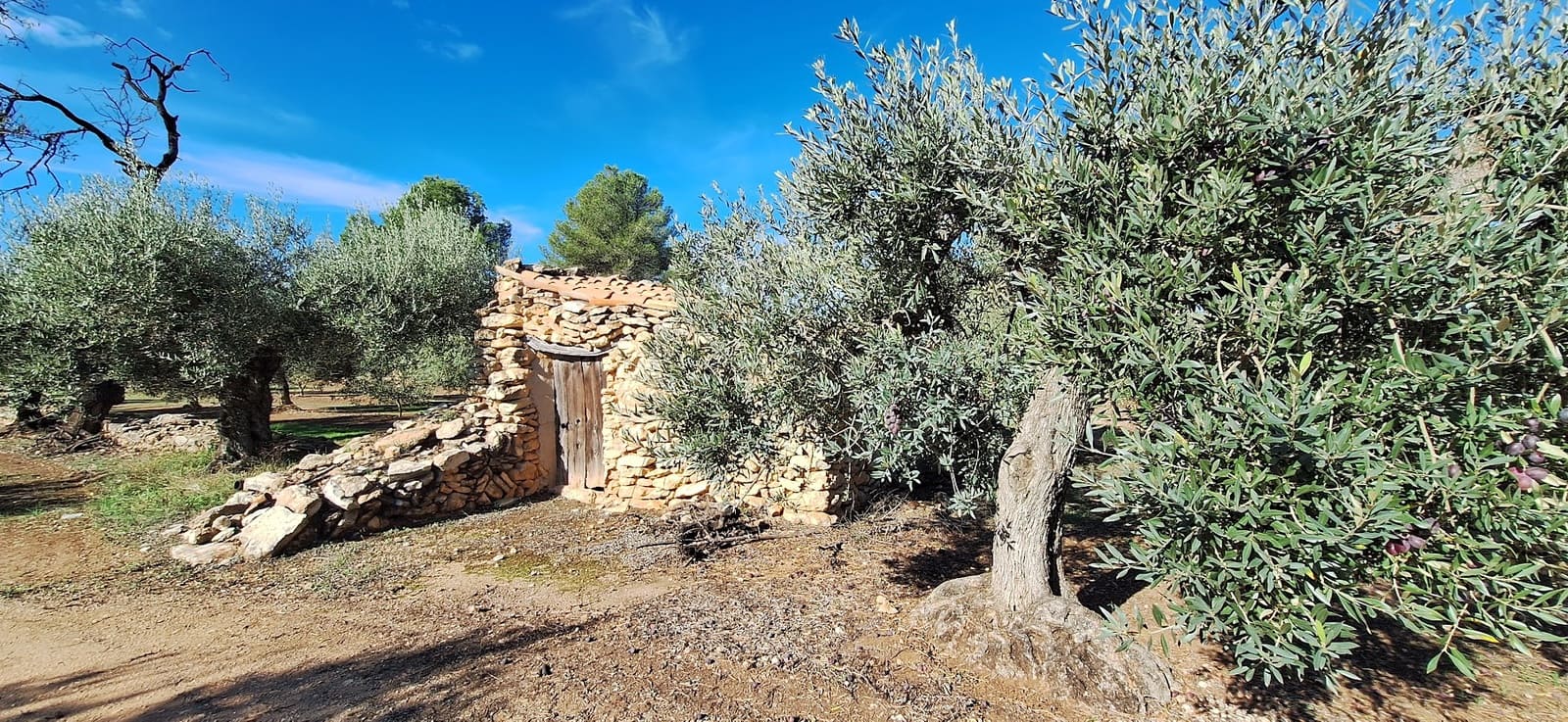 Finka/Dom wiejski na sprzedaż w Tivissa - 57 000 € (Ref: 9331441)