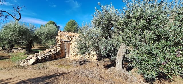 Finka/Dom wiejski na sprzedaż w Tivissa - 57 000 € (Ref: 9331441)