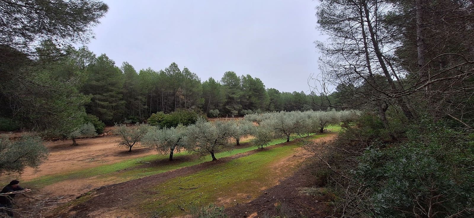 Finca/Landehus til salg i Tivissa - € 57.000 (Ref: 9331441)