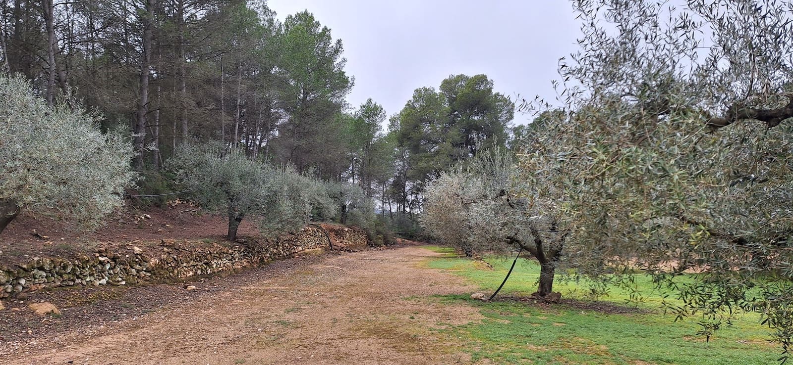 Finca/Landehus til salg i Tivissa - € 57.000 (Ref: 9331441)