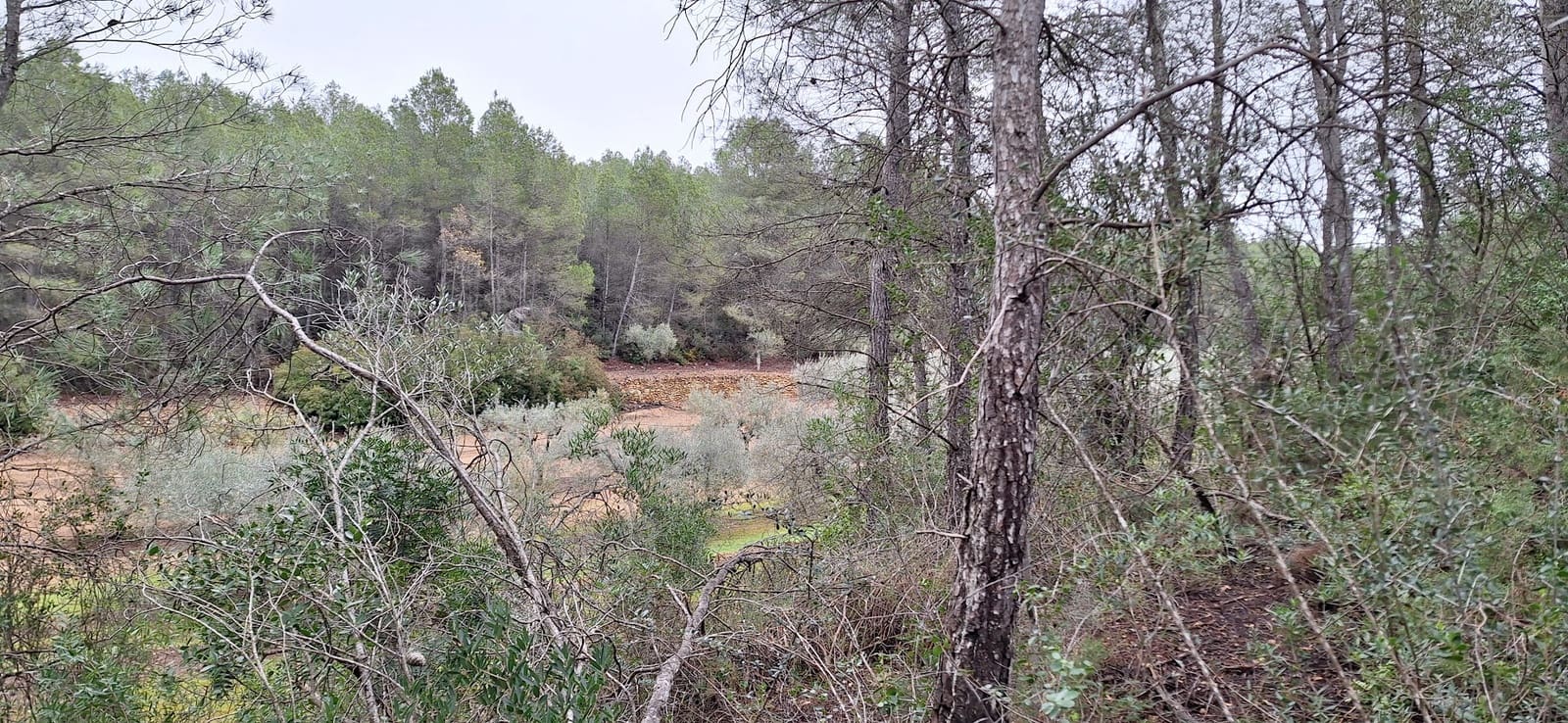 Finca/Landehus til salg i Tivissa - € 57.000 (Ref: 9331441)