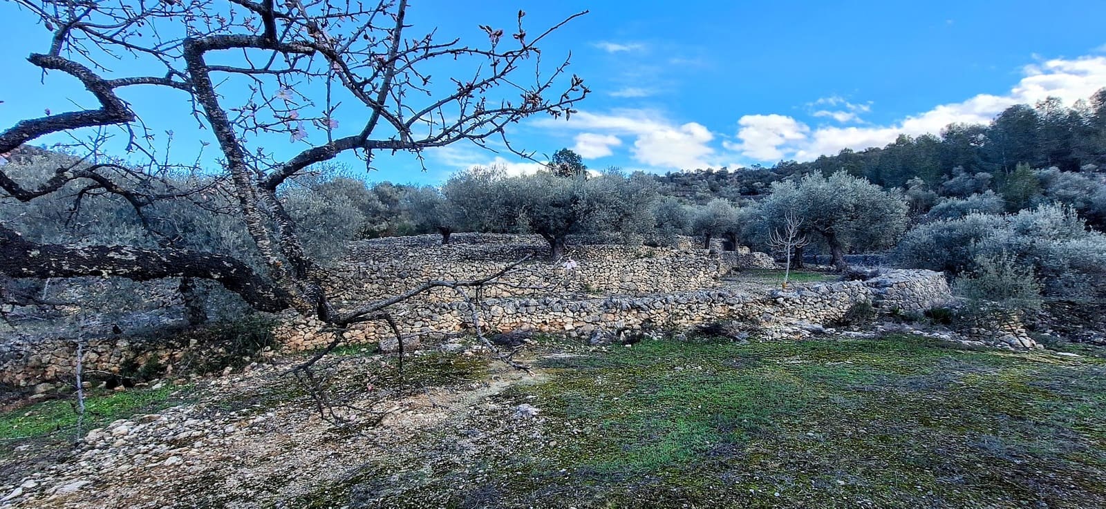 Finca/Maison de Campagne à vendre à Ginestar - 58 000 € (Ref: 9575059)