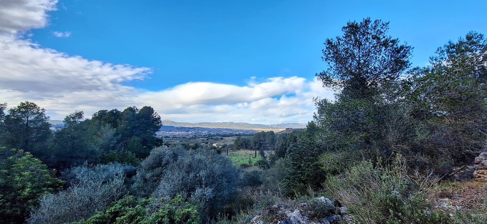 Finca/Maison de Campagne à vendre à Ginestar - 58 000 € (Ref: 9575059)