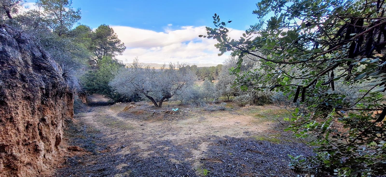 Finca/Maison de Campagne à vendre à Ginestar - 58 000 € (Ref: 9575059)